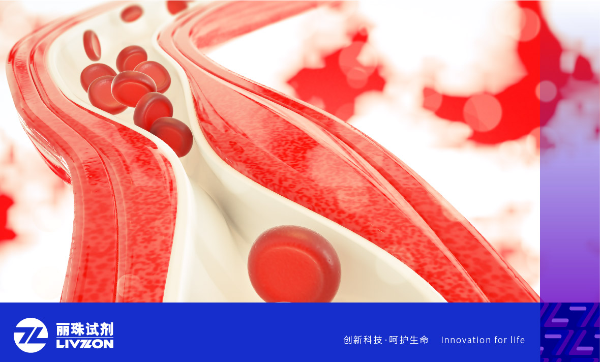 麗科普丨抗磷脂抗體陽(yáng)性能診斷為「 抗磷脂綜合征 」嗎？